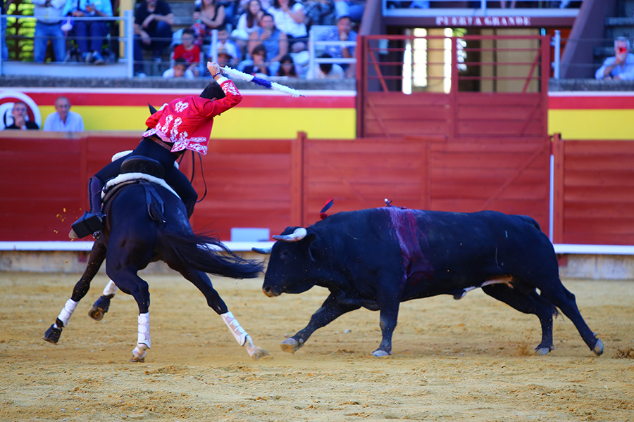 Corrida-Rejones-San-Antolin-Palencia-4-sep-10.jpg